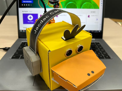 Meet Duckybot -- Crafting, Coding, and Quacking with Robotics!